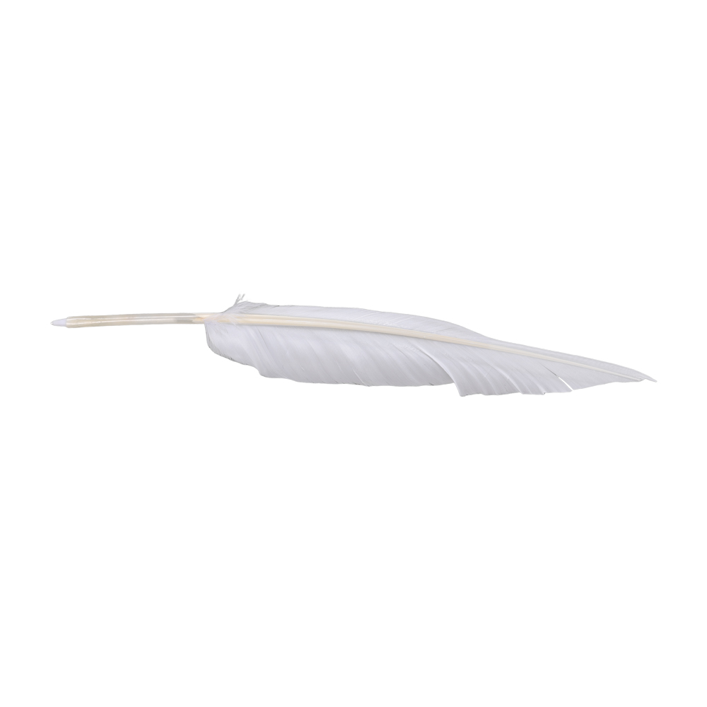 Anime Sousou of Frieren Cospla - огляд і ціна Frieren Cosplay Prop